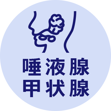 唾液腺